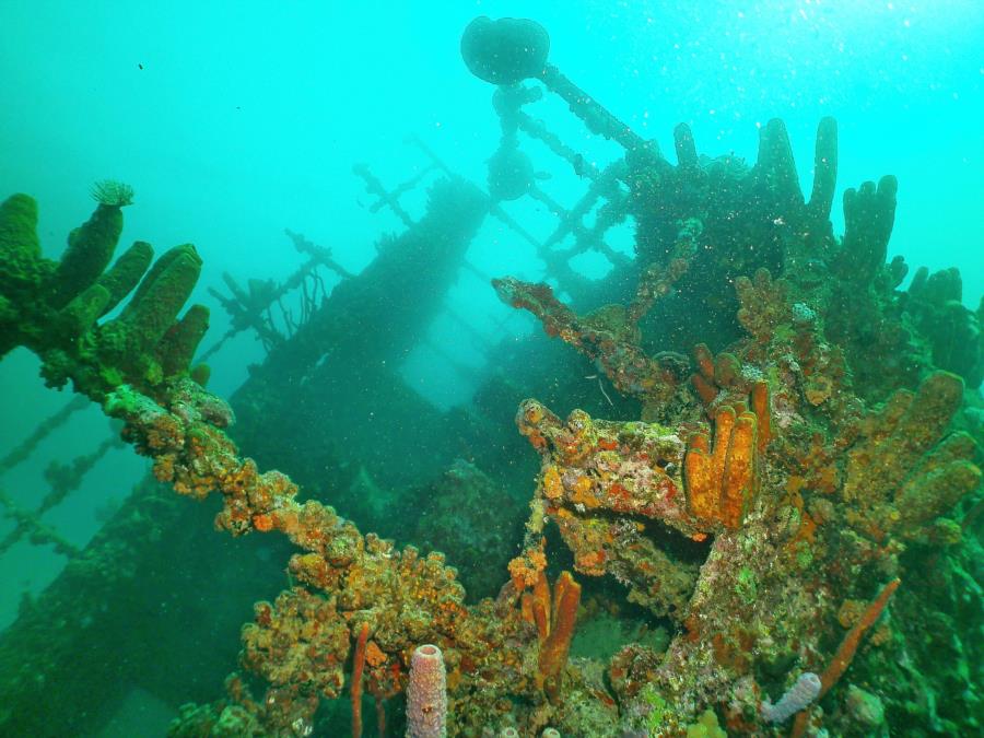 Antilla Wreck - Antilla