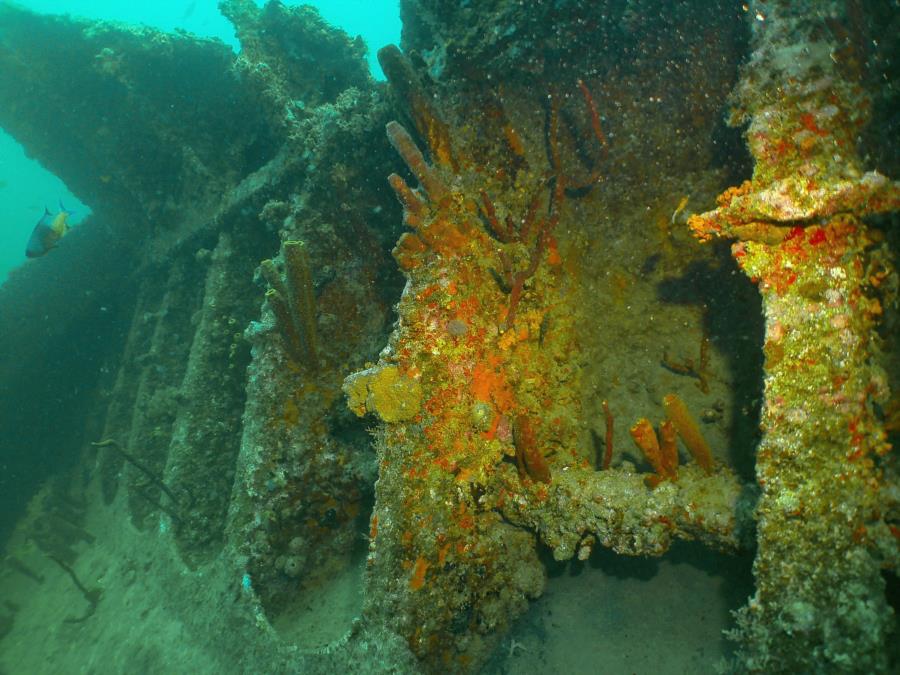 Antilla Wreck - Antilla