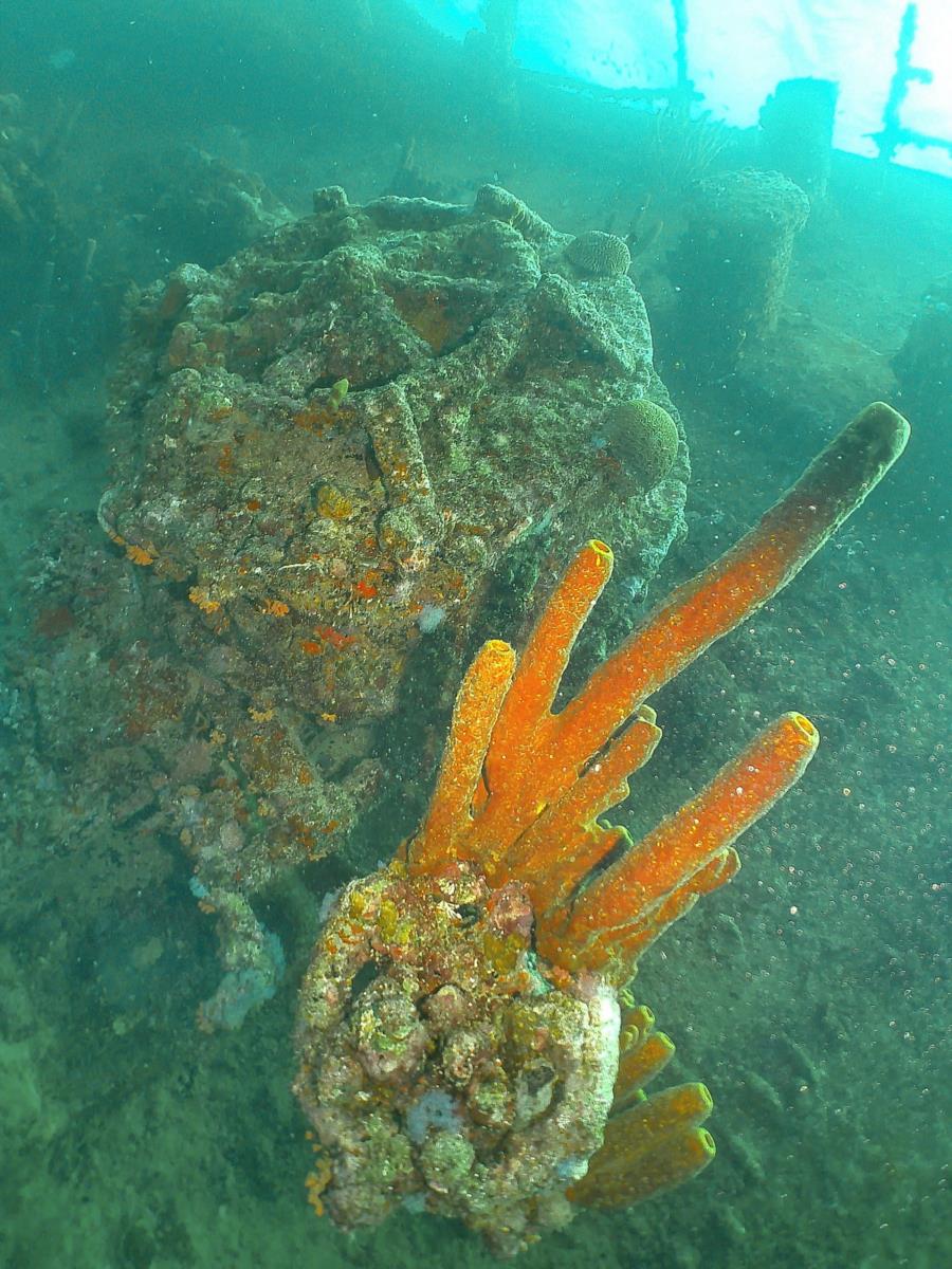 Antilla Wreck - Antilla