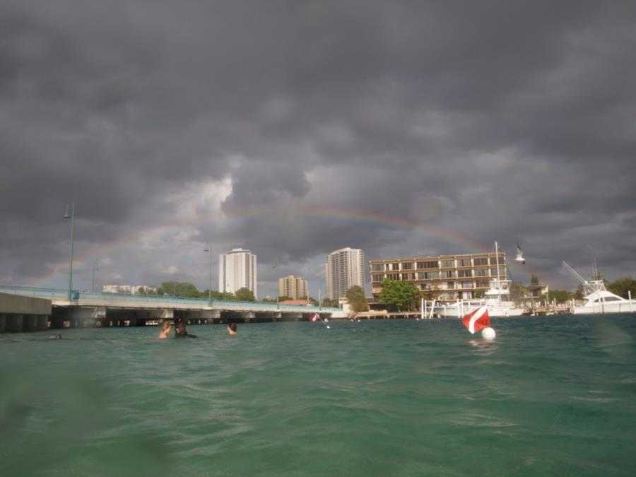 Blue Heron Bridge aka Phil Foster Park, BHB - Rainbow at end of dive, east span