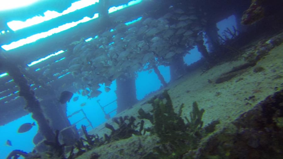 Gunboat C-58 - Below main deck