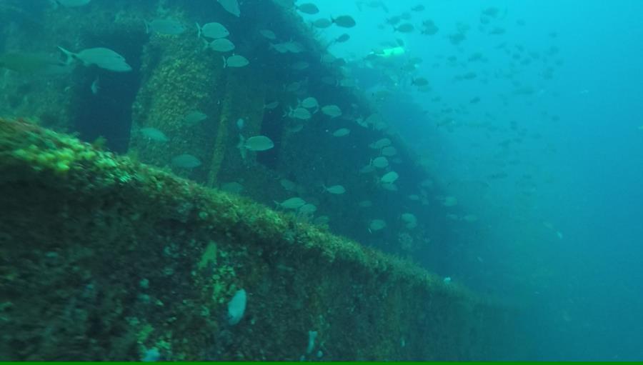 Red Sea Tug - Red Sea