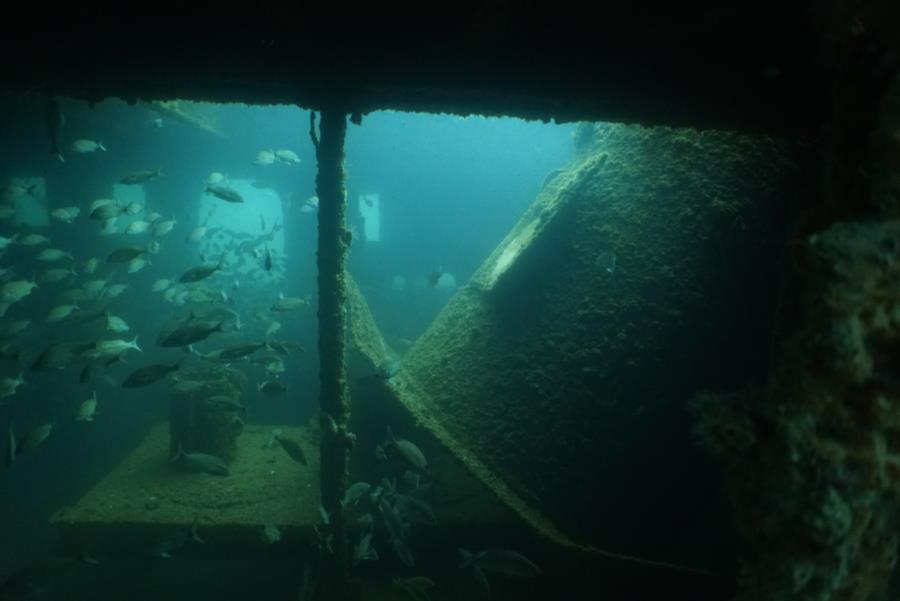 Red Sea Tug - Red Sea