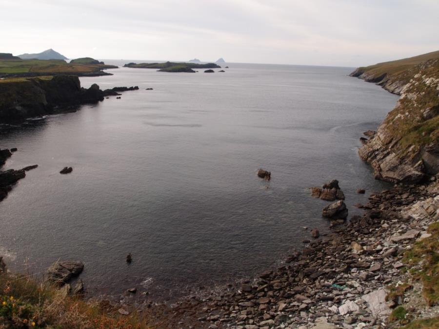 The Skelligs aka Skelligs Rock! - Looking from land out to the Skelligs