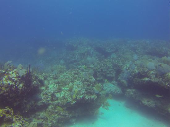 Mahahual Mexico - Mahahual Mexico Barrier Reef