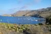 Isthmus / Harbor Reef - Two Harbors CA