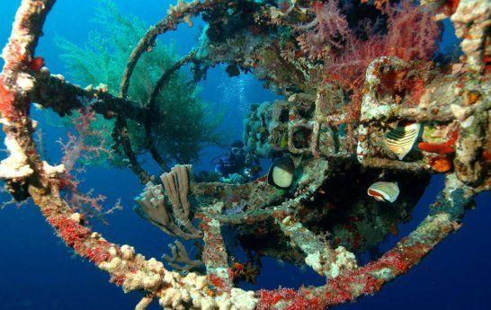 Aqaba - Cedar-Pride-Ship-Wreck