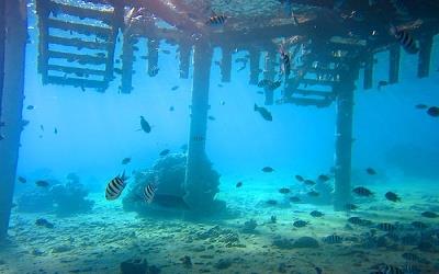 Aqaba - Wall