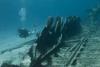 Wreck of the Cali - Cayman Islands