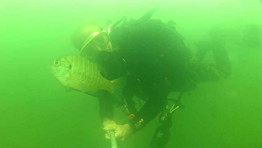 Wheeler Branch Lake - Fish hug