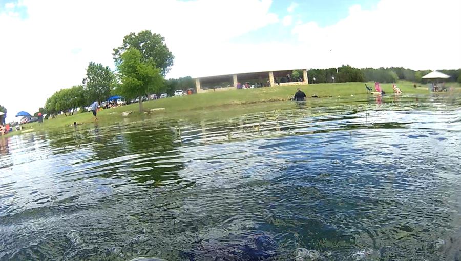 Wheeler Branch Lake - looking for lost fin for friend