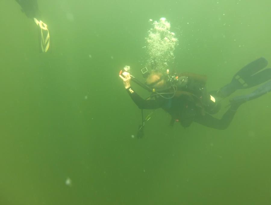 Wheeler Branch Lake - descent at tree