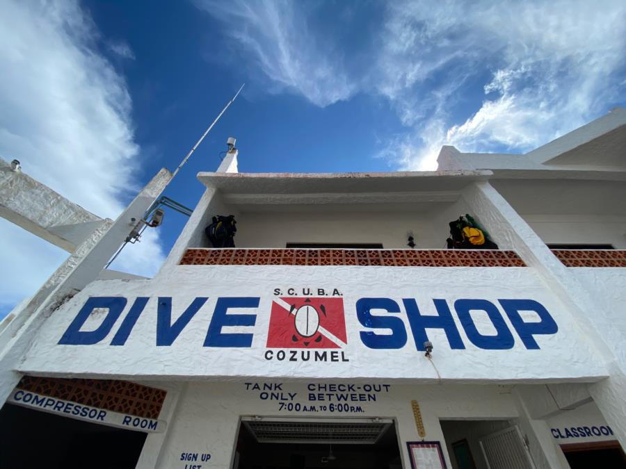 cozumel dive shops near cruise port