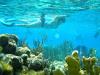 Buccaneer - Cayman Islands