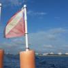 Governor’s River Walk, Gilbert Sea, ShaSha Boekani - Calypso- going out to the dive site