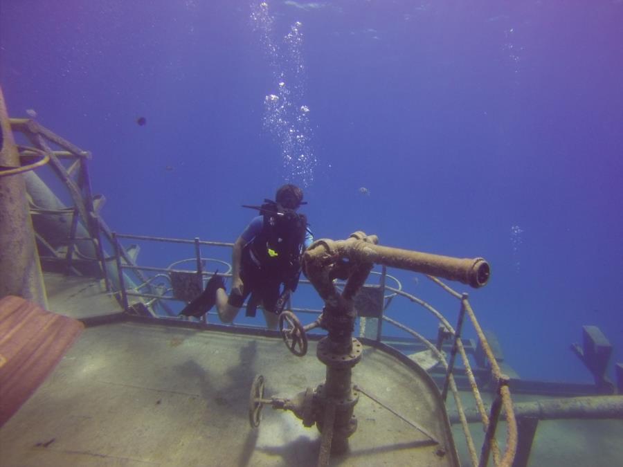 Kittiwake - Posing on the Kittiwake