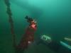 fish - wgr21