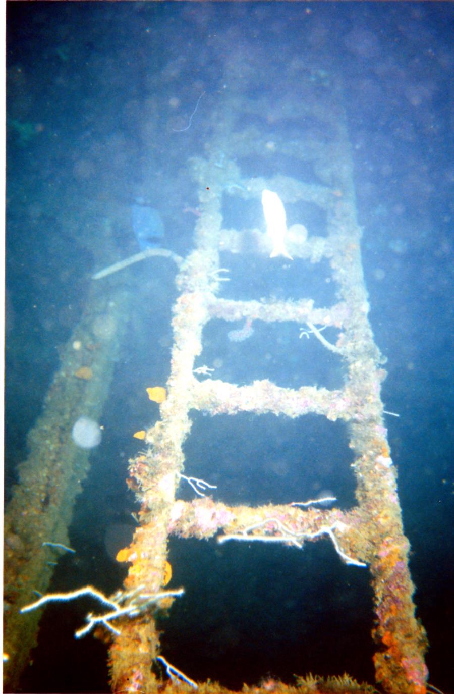 Spanish Barges - wrecks