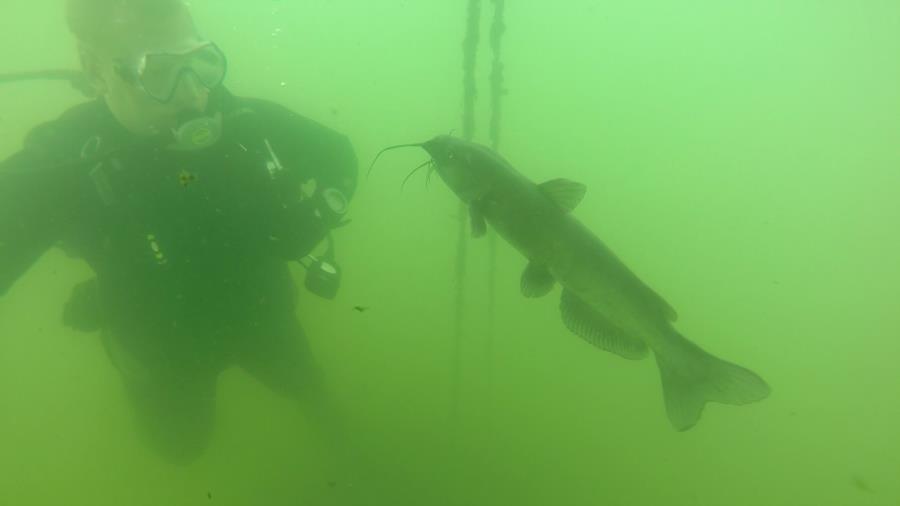 North Point Quarry - Making friends