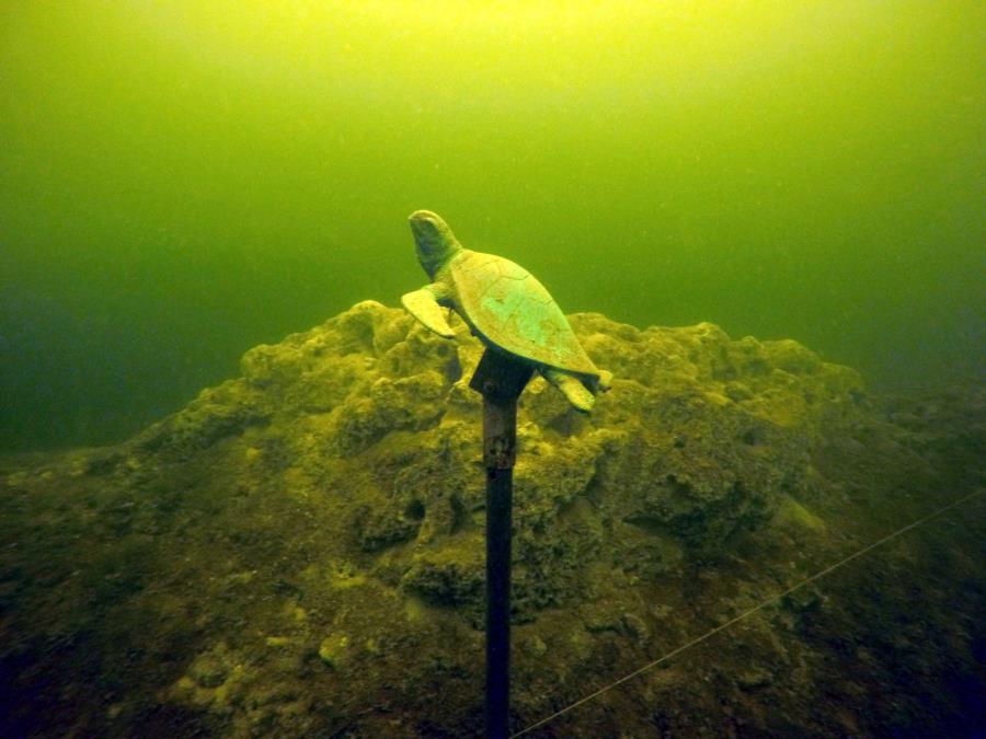 Lime lake - Turtle Memorial