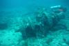 Eagle Ray Alley, Molasses Reef - Key Largo FL