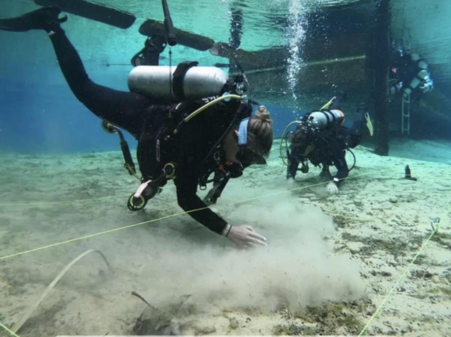 Fanning Springs State Park - Dive911 Training