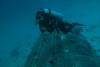 Front Porch & wreck of the tugboat New York - Bonaire