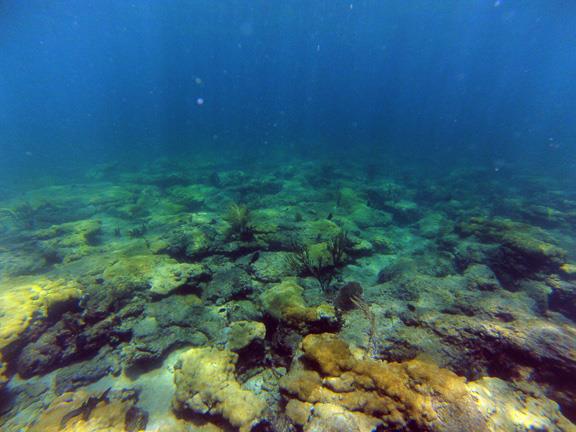 Barracuda Reef - CR_G0010006_web.jpg