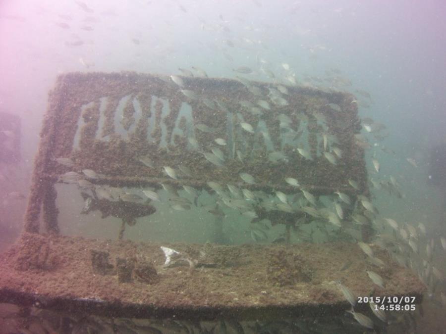 Joe Patti - Flora Bama