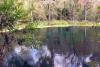 Jug Hole Spring, aka Blue Hole, Ichetucknee Park - An overview of the spring