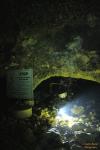 Jug Hole Spring, aka Blue Hole, Ichetucknee Park - Entry to Bedding Plane Restriction