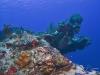 Mountain Reef - Mexico