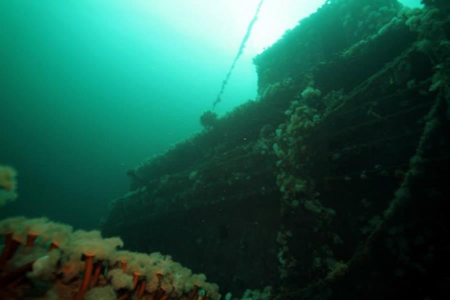Bell Island Shipwrecks - The Rose Castle