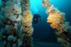 Bell Island Shipwrecks - The Rose Castle