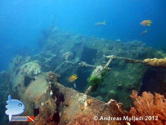 Kapal Indonur wreck aka Indonor - The Indonor