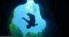 Jacob’s Well - View from underwater in Jacobs Well