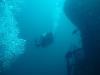 Sheridan Wreck - Gulf of Mexico FL