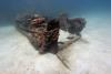 Amtrak and Cemetery Wall - Underwater pic of wreck structure