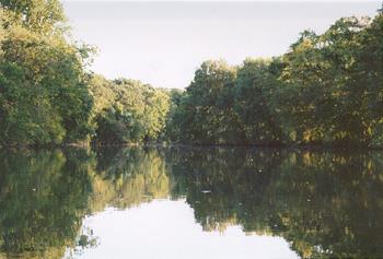 Swatara Creek - Swatara Creek