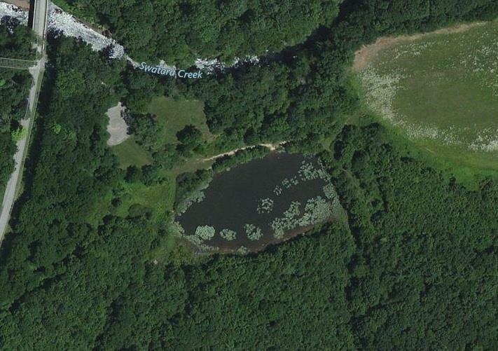 Lilly Pad Pond - Pine Grove/Suedberg Lilly Pad Pond