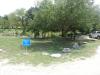 Picnic area with large oak trees