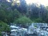 North Fork Yuba River