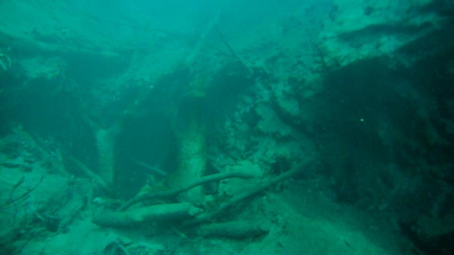 Big Blue Spring (Wacissa Spring Group) - Tree debris fallen into small cave entrance