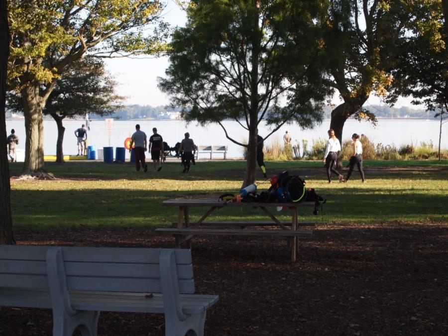 Maclearie Park, Shark River - Looking from parking thru picnic area to entry