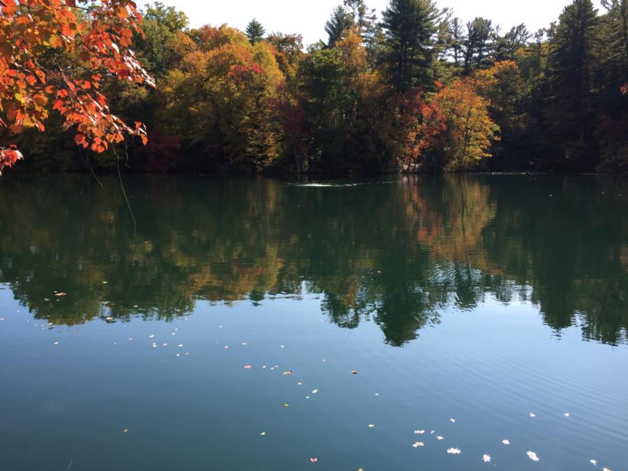 Fuller Lake - Shot of lake.