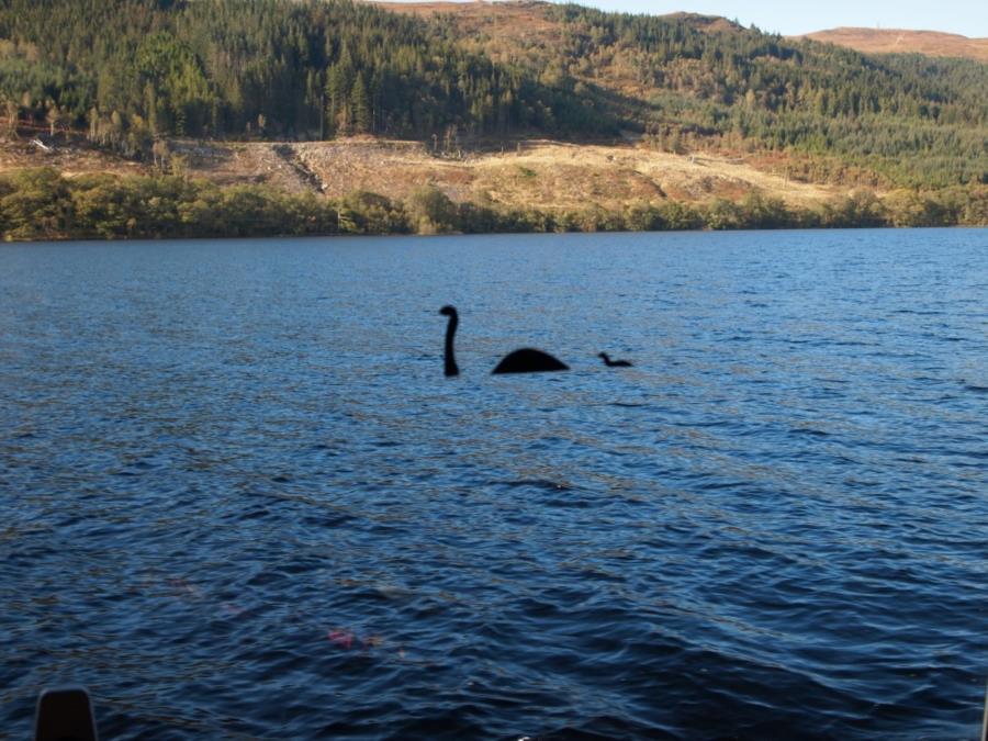 Loch Ness - Nessie sticker on boat window