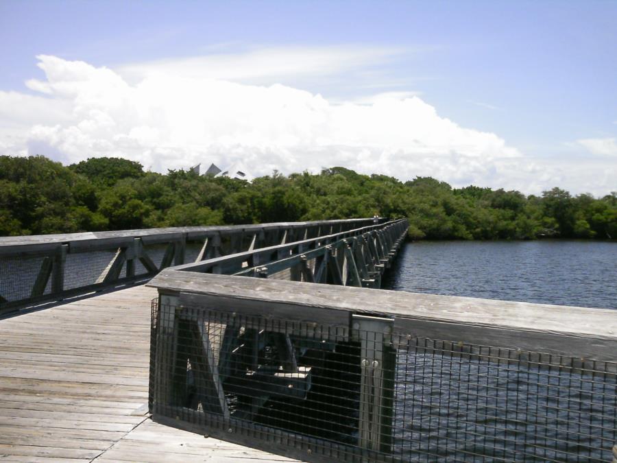 John D MacArthur Beach State Park - the walk to the beach