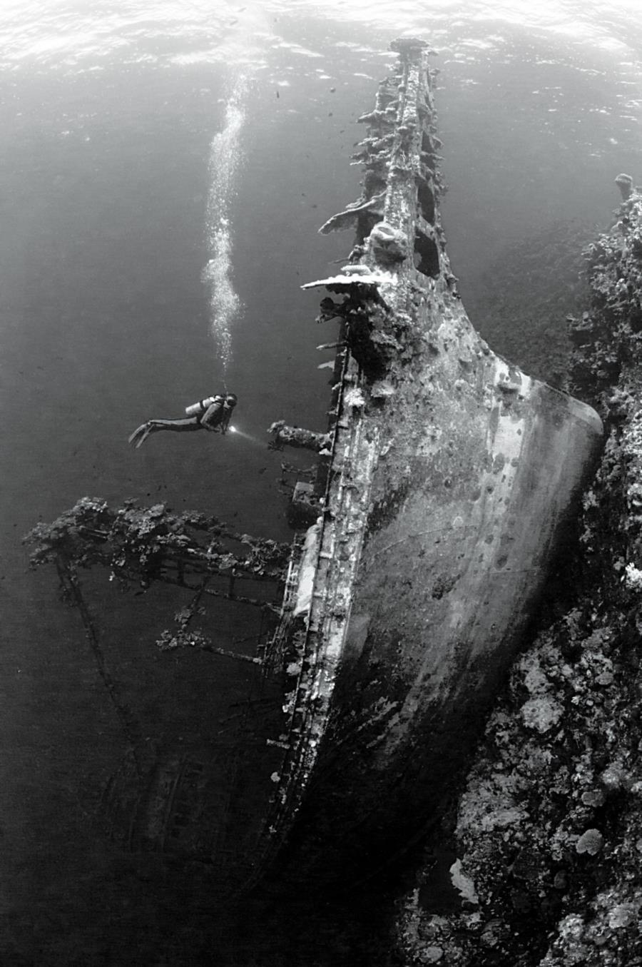 Taiyo - Taiyo Wreck