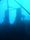 EL Raton the wreck at Tabiaba - mermaiddiving