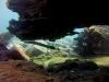 Las Eras Trigger Fish - mermaiddiving
